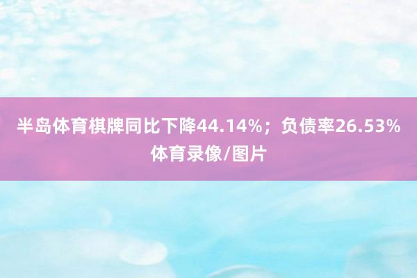 半岛体育棋牌同比下降44.14%；负债率26.53%体育录像/图片