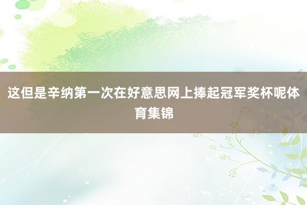 这但是辛纳第一次在好意思网上捧起冠军奖杯呢体育集锦