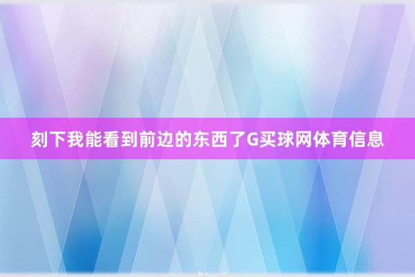 刻下我能看到前边的东西了G买球网体育信息